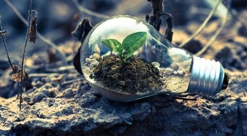 26 січня - Всесвітній день екологічної освіти: Прикмети та забобони