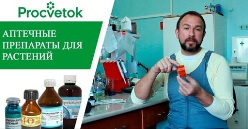 Использование лекарств в садоводстве. Применение йода, зеленки, марганцовки, аспирина, аммиака