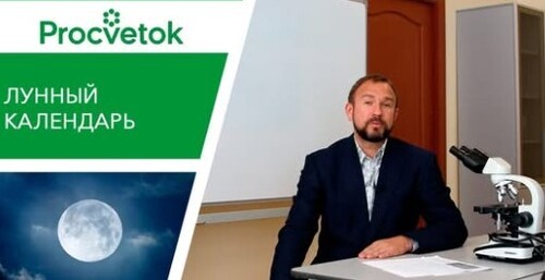 Лунный календарь. Можно ли ему доверять?