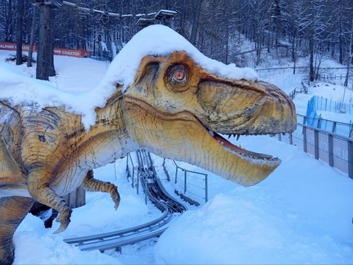 "Романтики — страшные люди" - Дмитрий Чернышов