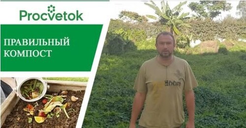 Компост. Для чего нужно компостирование и как правильно приготовить компост