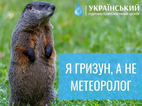 2 лютого - День бабака: Прикмети та забобони