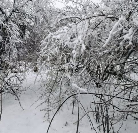 ДОЛГ ПЛАТЕЖОМ КРАСЕН...