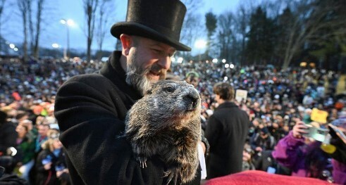 Фил, ты чертов зимофил!