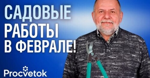 САД В ФЕВРАЛЕ! Обязательно сделайте эти работы до прихода весны