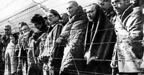 "Розтоптана пам’ять Голокосту: росіяни катаються на санчатах з могил закатованих євреїв" - Олена Степова