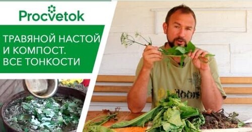 Органические удобрения - компост, травяной настой. Как сделать удобрение своими руками