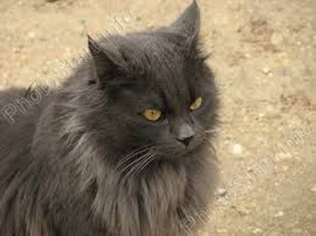 ПРЫЖОК В НИКУДА