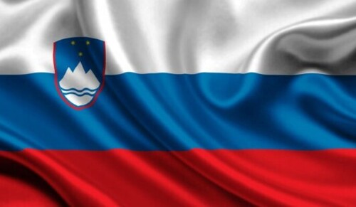 Словенія виділила пів мільйона євро на підтримку енергетики України