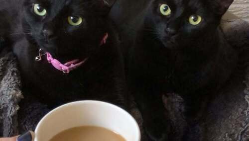 "..Параноїки підозрілості" - Євген Якунов