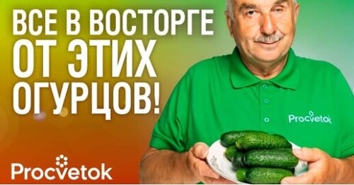 Если бы можно было посадить только 3 огурца и кабачка, то я бы выбрал эти сорта