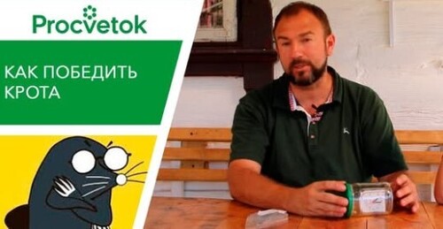 Крот в огороде. Гуманные средства борьбы. Отпугиватель кротов своими руками