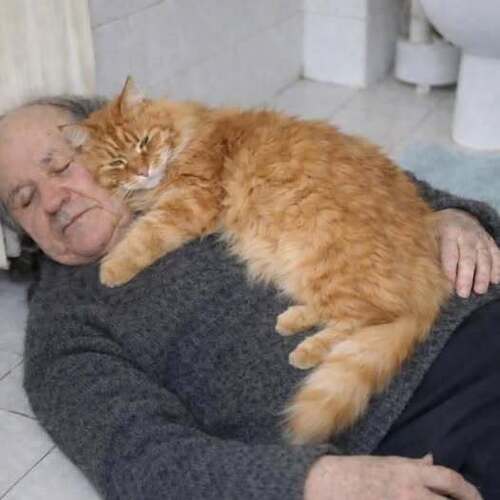 Четырёхлапая любовь