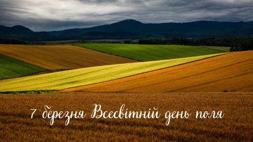 7 березня - Всесвітній день поля: Прикмети та забобони