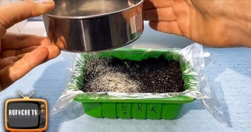 Розсада не буде хворіти, якщо насипати це у контейнер