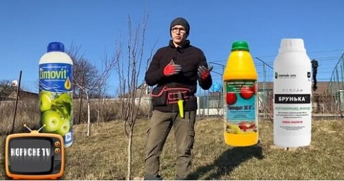 Не оброблюйте цим дерева на весні, толку не буде