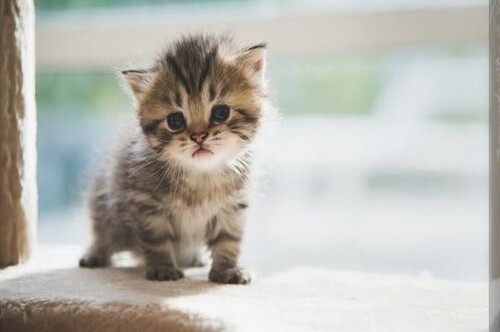 Однажды теплым июньским вечером...