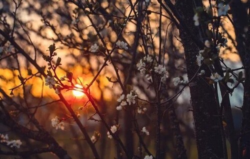 20 березня - День весняного рівнодення: Прикмети та забобони