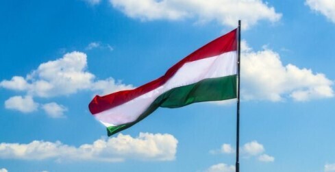 Захоплених в Угорщині українців змушували до зізнань “сироваткою правди” – ЗМІ