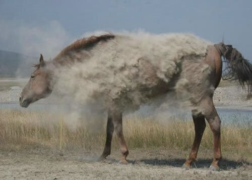 "Немного про семиотических партизан" - Дмитрий Чернышов