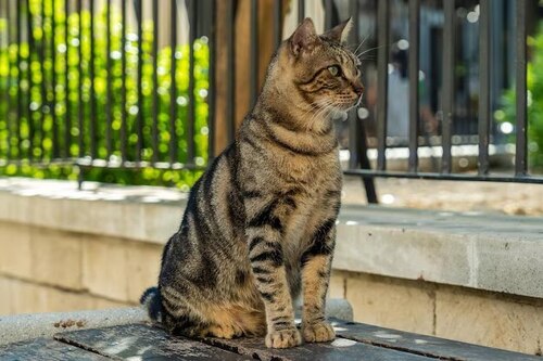 Ещё один шанс