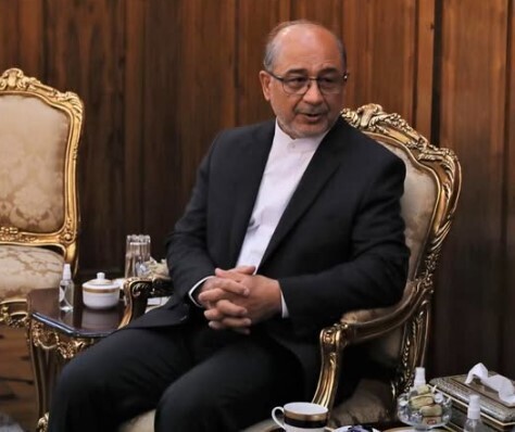 Посла послали, а он не пошел, потому что не посол