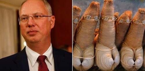 "ЭТО ВСЕ ПРИДУМАЛ БАЙДЕН В ВОСЕМНАДЦАТОМ ГОДУ" - Андрей Капустин 