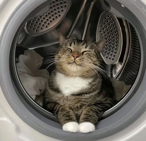 Лучше бы я родился семитом..