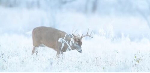 Український джаз для релаксу