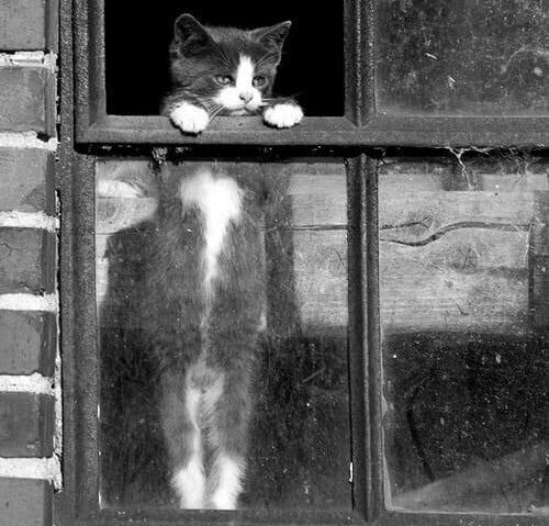 СЛЕЗЫ ОСЕНИ