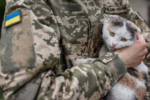 ПРЕТЕНЗІЇ КОХАННЯ