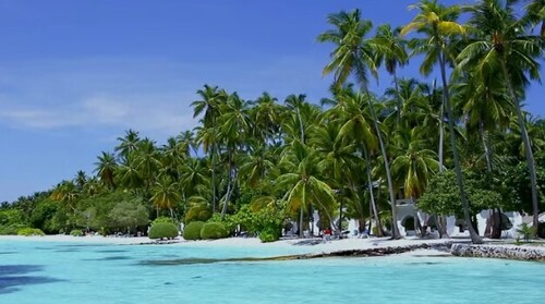 Meilleures Chansons Francaises