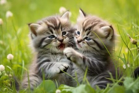 Один случай