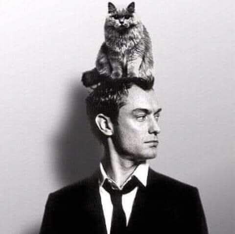 Случай в ветеринарной клинике