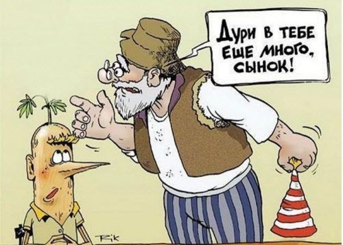 Люди глупы, кроме вас, конечно!