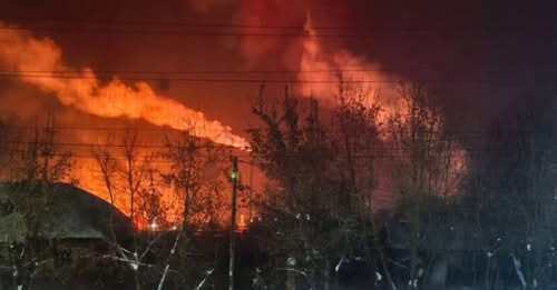 "Народна любов до режиму забезпечена" - Кирило Данильченко