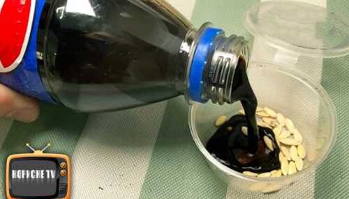 Насіння огірків проросте швидко, і розсада не буде хворіти