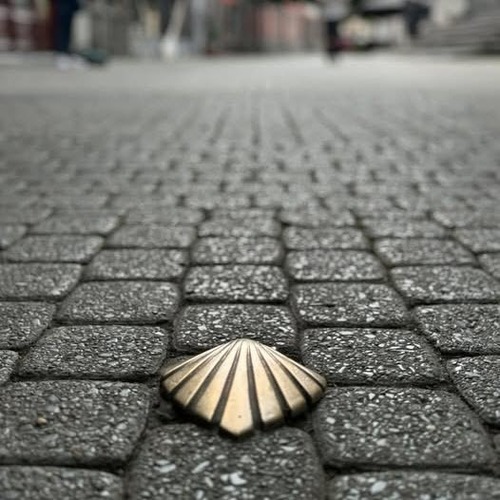 Металеві мушлі — традиційний символ знаменитого паломницького шляху Camino de Santiago