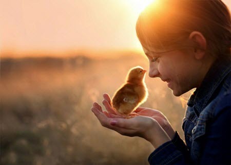 Доброта – проявление силы или слабости?