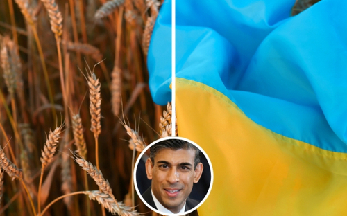 Ріші Сунак: війна в Ірані показує цінність України як союзника – The Times