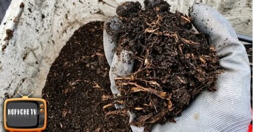 Більше добрива не купляю, а роблю їх сам