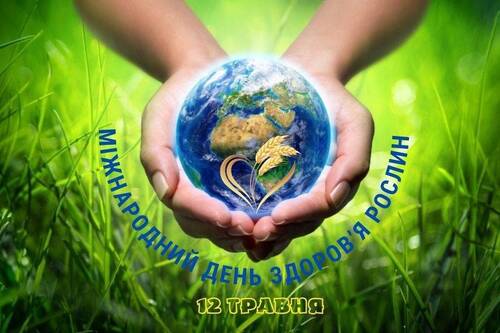 12 травня - Міжнародний день здоров’я рослин: Прикмети та забобони