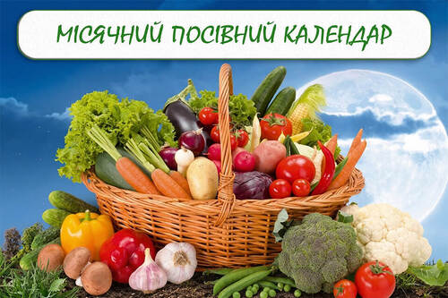 Місячний календар городника та садівника: червень 2026 рік