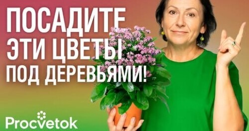 ЧТО ПОСАДИТЬ ПОД ДЕРЕВЬЯМИ? Эти цветы «задушат» сорняки и украсят ваш сад!
