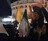 Что происходит в Иране на фоне близкого мира