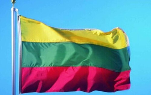 У Литві розпочали виробництво протидронових боєприпасів