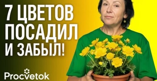 ПОСАДИЛ И УХОДИ! 7 цветов, которые растут сами, а выглядят потрясающе!