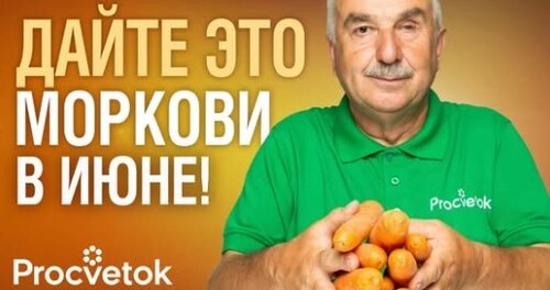 МОРКОВЬ И СВЁКЛА БУДУТ РОВНЫМИ, СОЧНЫМИ И СЛАДКИМИ, если сделать так сразу после всходов!