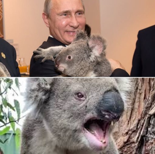 Image httpsstaticspektrnewsinuaimg2026062258225879jpg
