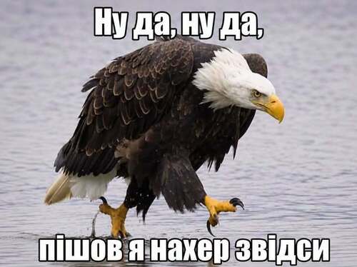 "Радостная новость…" - Андрей Капустин 